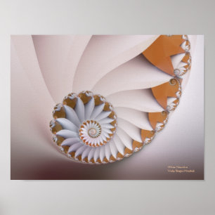 Póster White Nautilus Abstract Seashell Fine Fractal