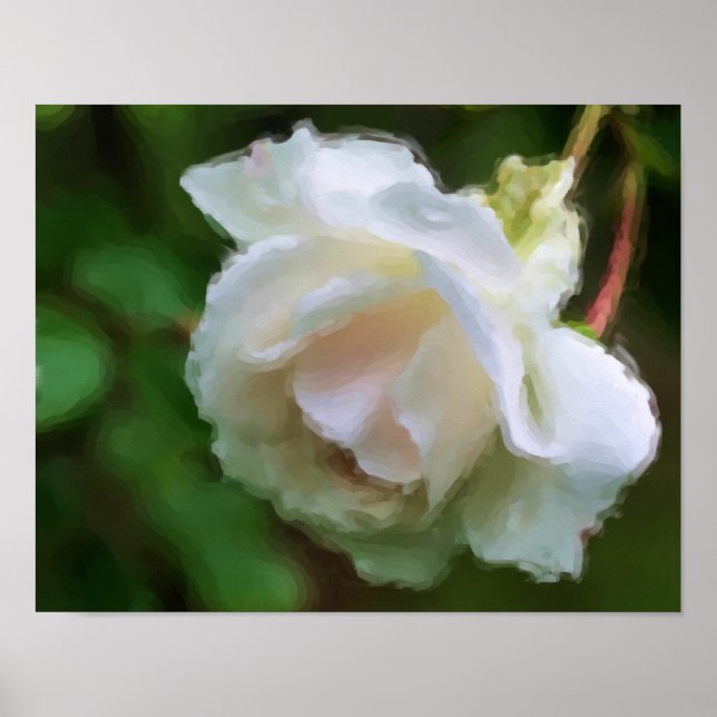Póster White Rose Flower Art (Frente)