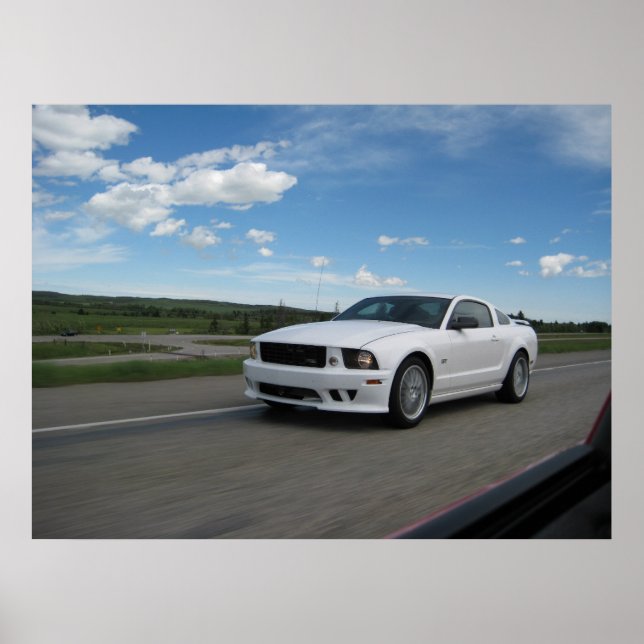 Poster White Saleen Mustang (Frente)