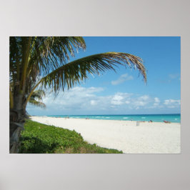 Poster White Sand Beach com Palm
