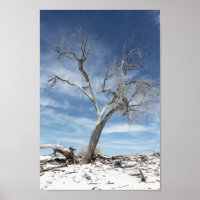 White Sands Zion National Park Foto