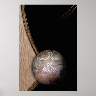 PÓSTER WHITE SHAMAN