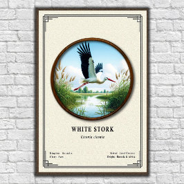Poster White Stork Zoology Series