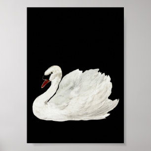Poster White Swan Vintage Art