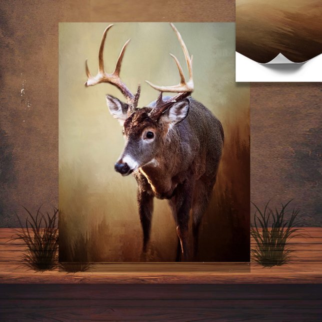 Poster White Tail Buck (Criador carregado)
