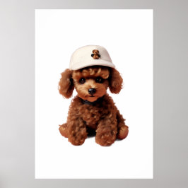 Poster White Teacup Poodle Folder