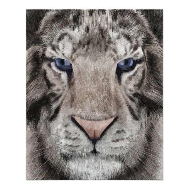 Póster White Tiger Head  (Frente)