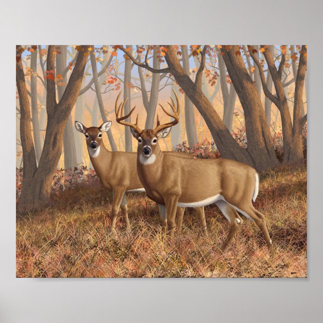 Poster Whitetail Deer Buck & Doe Autumn Mapods (Frente)