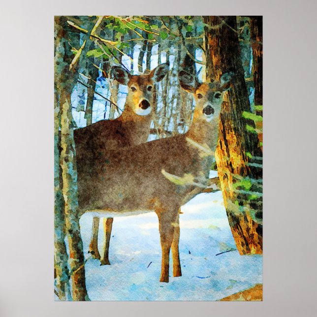 Poster Whitetail Deer em Winter Snow Willife Watercolor (Frente)