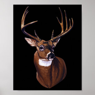 Poster Whitetail Deer Portrait Antlers Wildlife Animal Gr