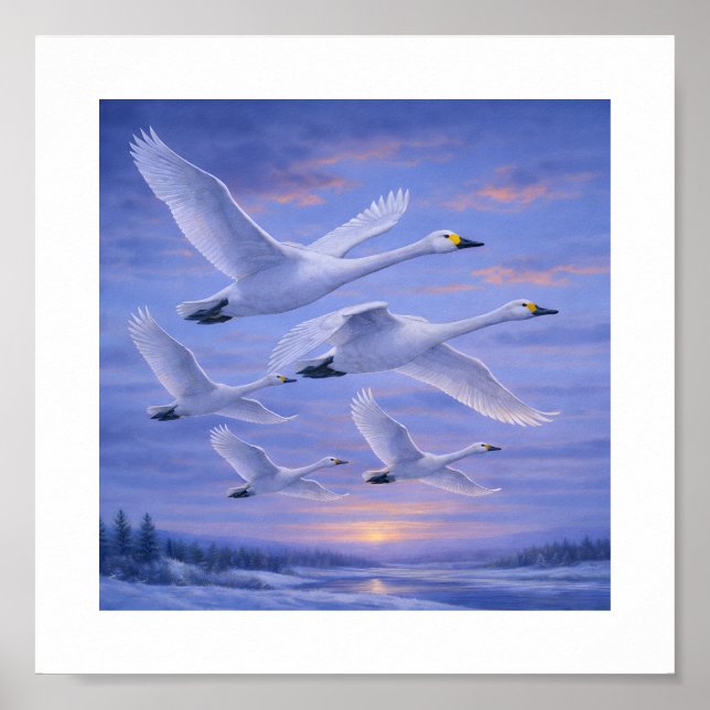 Poster Whooper Swans in Winter Sky – Japanese Wild Bird (Frente)