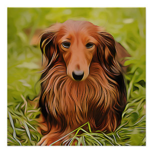 Póster Wiener Brown Dachshund Na Grama No Jardim Xmas