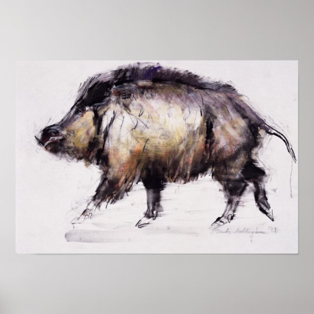 Póster Wild Boar 1999 (Frente)