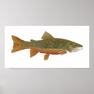 Póster Wild Brook Trout