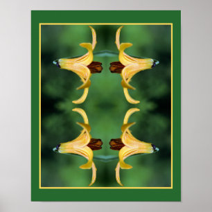 Poster Wild Canada Lily E Insett Mirror Abstrato