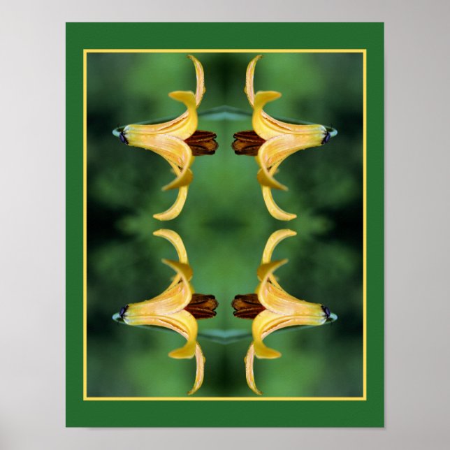 Poster Wild Canada Lily E Insett Mirror Abstrato (Frente)