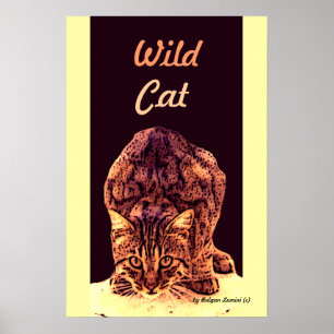 PÓSTER WILD CAT KITTEN