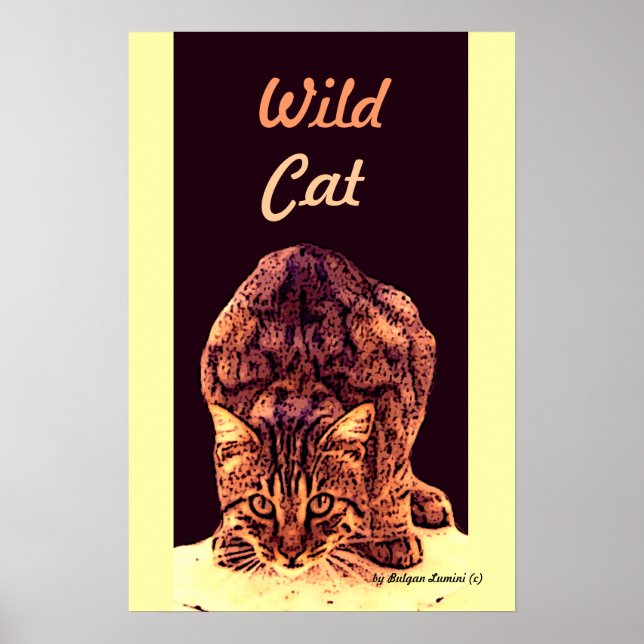 PÓSTER WILD CAT KITTEN (Frente)