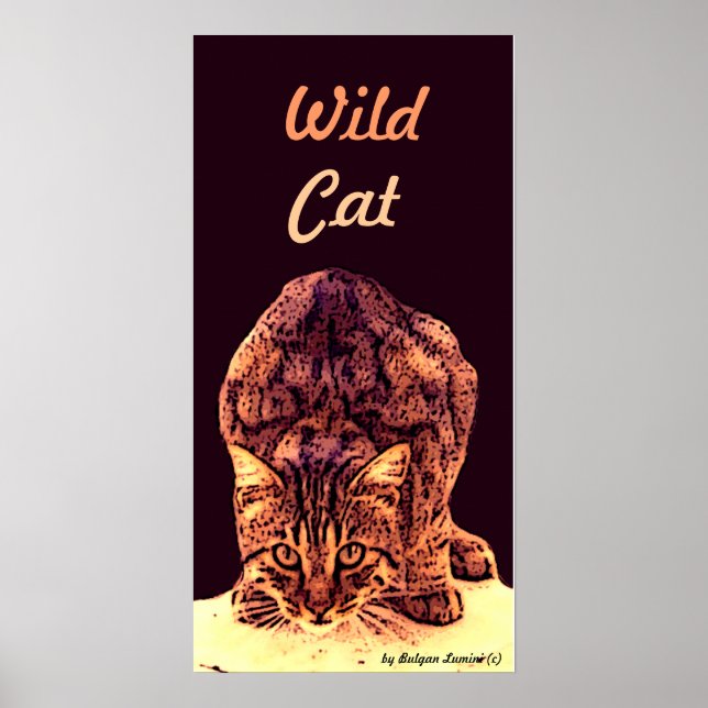 PÓSTER WILD CAT KITTEN (Frente)