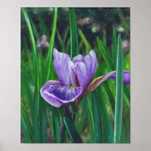 Póster Wild Iris