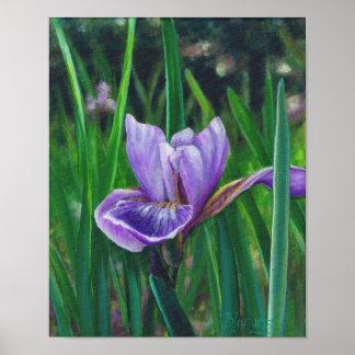 Póster Wild Iris