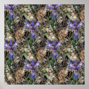 Poster Wild Irises in  the woods...