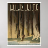 Wild Life: Serviço Nacional de Parques