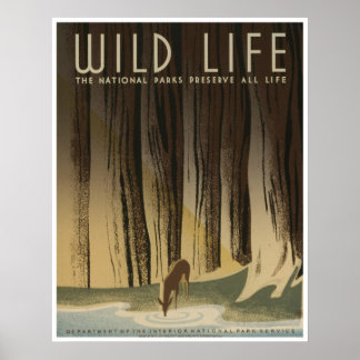 Poster Wild Life: Serviço Nacional de Parques