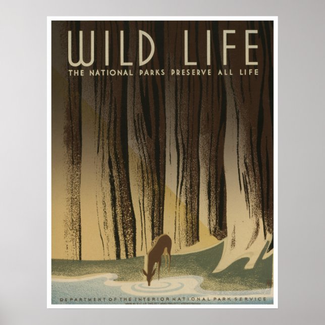 Poster Wild Life: Serviço Nacional de Parques (Frente)