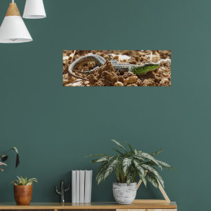 Poster Wild Lizard Nature Fotografia Rustic