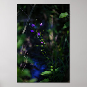 Poster Wild Purple Water Forest Flowers Fern