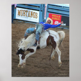 Póster Wild Ride - Reno Rodeo 2010