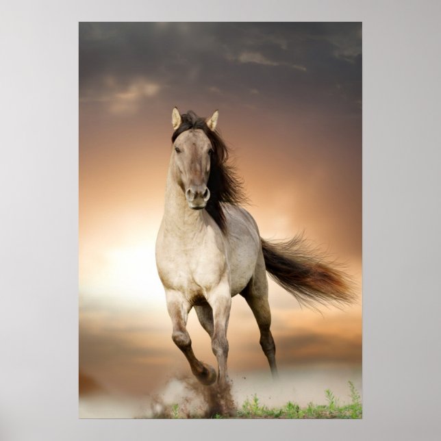 Poster Wild Stallion Correndo Em Sunset (Frente)