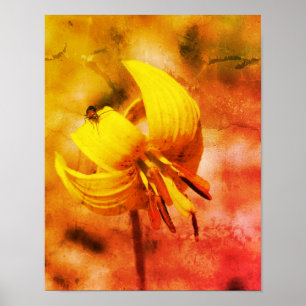 Poster Wild Trout Lily Flower E Insetar Amigo Abstrato