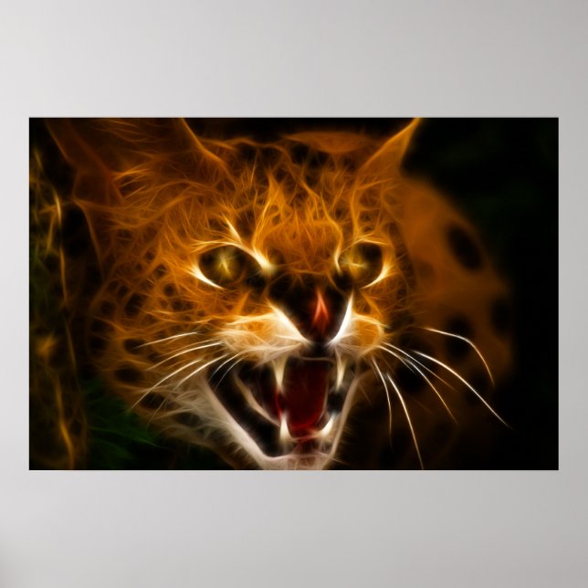 Poster Wildcat (Frente)