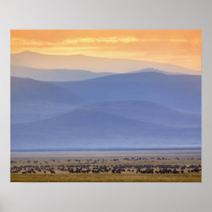 Póster Wildebeest durante migração, Connoquetes