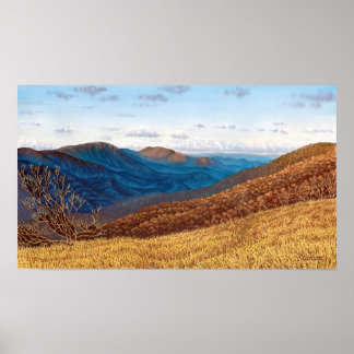 Póster Wilderness do Médio Prong