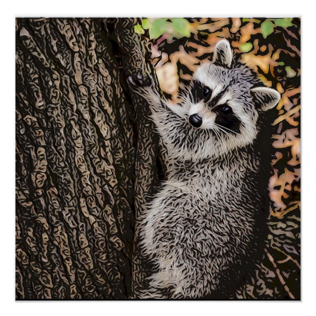 Póster Wilderness Wilderness Raccoon (Frente)