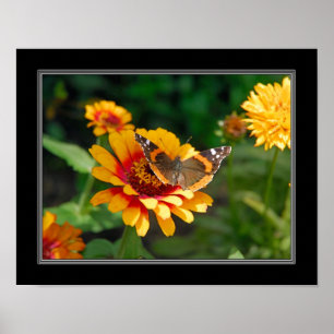 Poster Wildflower 11x14 e borboleta gerais indianos