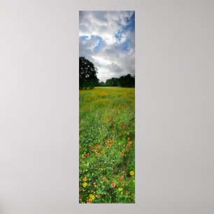 Póster Wildflower Meadow - Butler Trail - Austin Texas