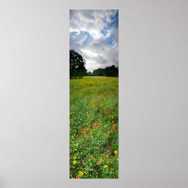 Póster Wildflower Meadow - Butler Trail - Austin Texas (Frente)