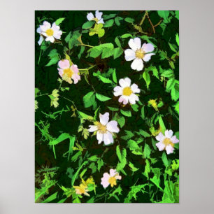 PÓSTER WILDFLOWERS