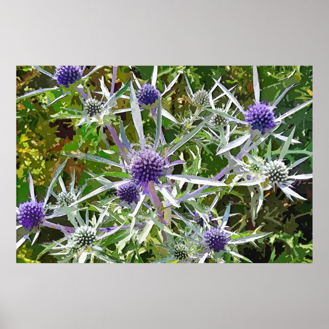 POSTER WILDFLOWERS (Frente)