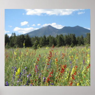 Póster Wildflowers do mastro
