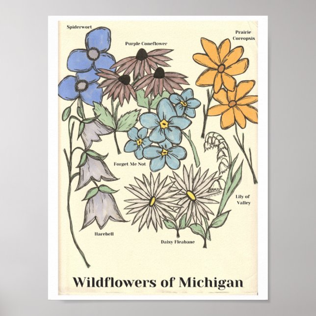 Poster Wildflowers of Michigan Hand Drawn Art Print (Frente)