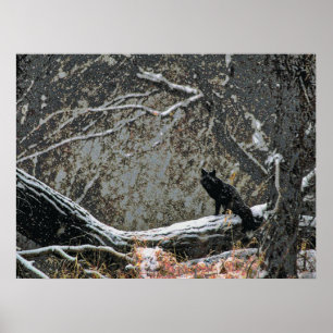 Póster Wildlife 8 cmyk