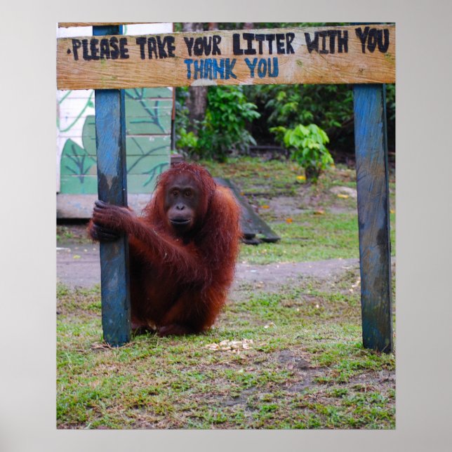 Póster Wildlife Conservation/Litter and Trash (Frente)