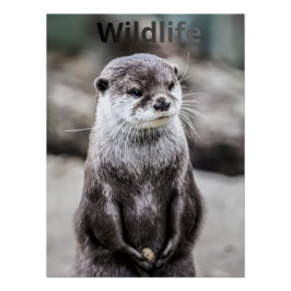 Póster Wildlife Poster