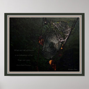 Poster Wildness:  Uma civilização a não ser nossos