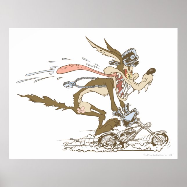 Póster Wile E. Coyote Cycle Racer (Frente)